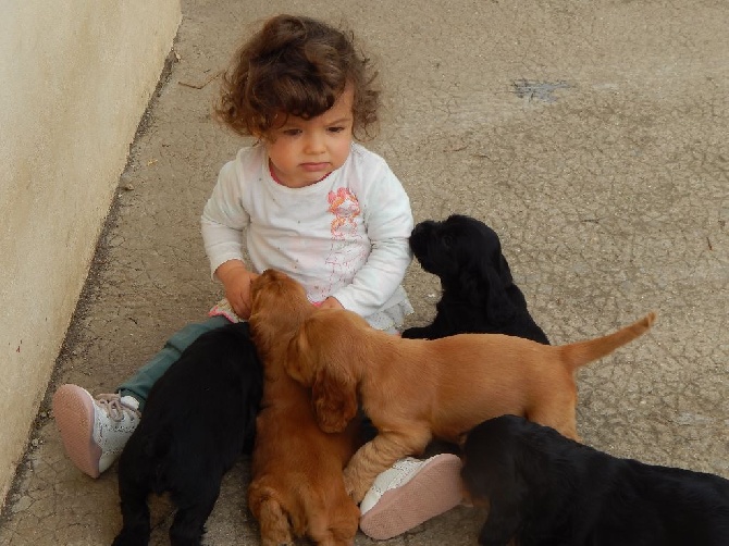 Les bébés grandissent