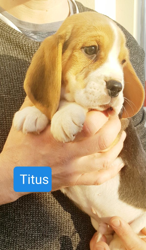 TITUS